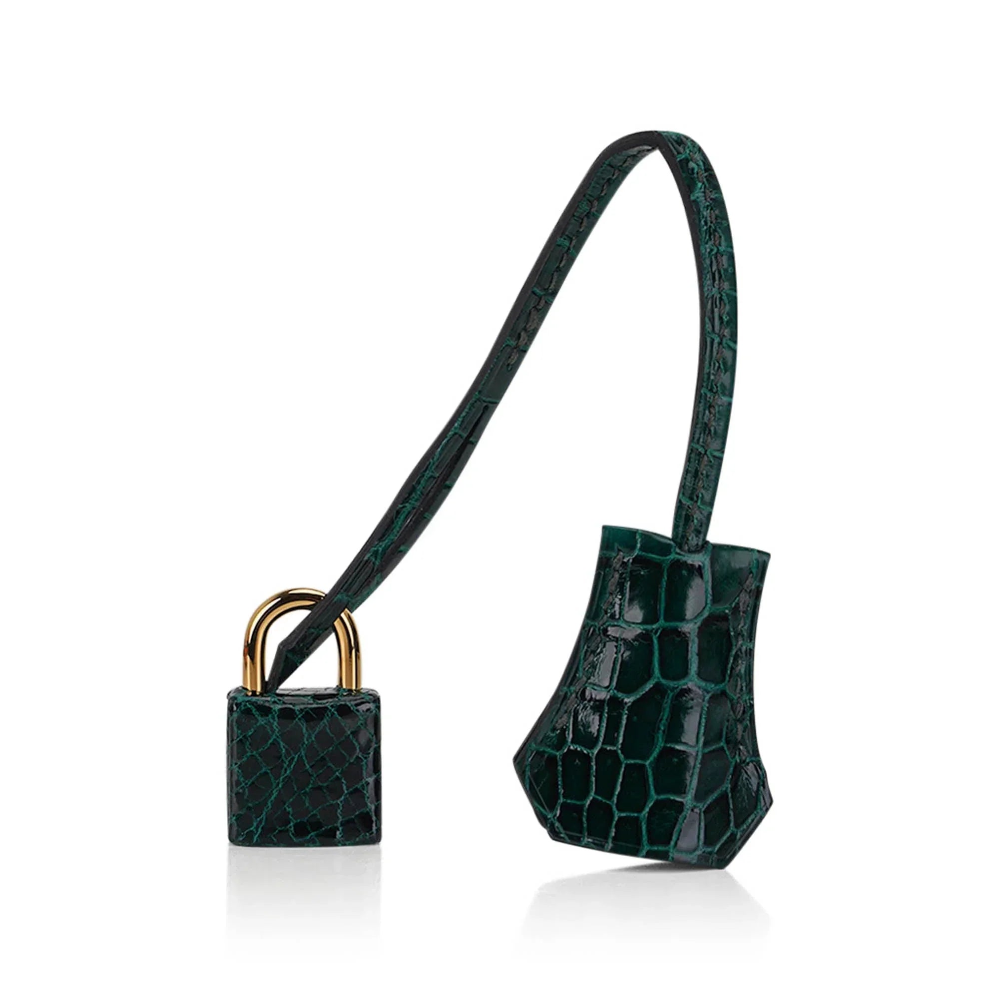 Birkin 25 Sellier Vert Fonce Porosus Crocodile Bag with Gold Hardware
