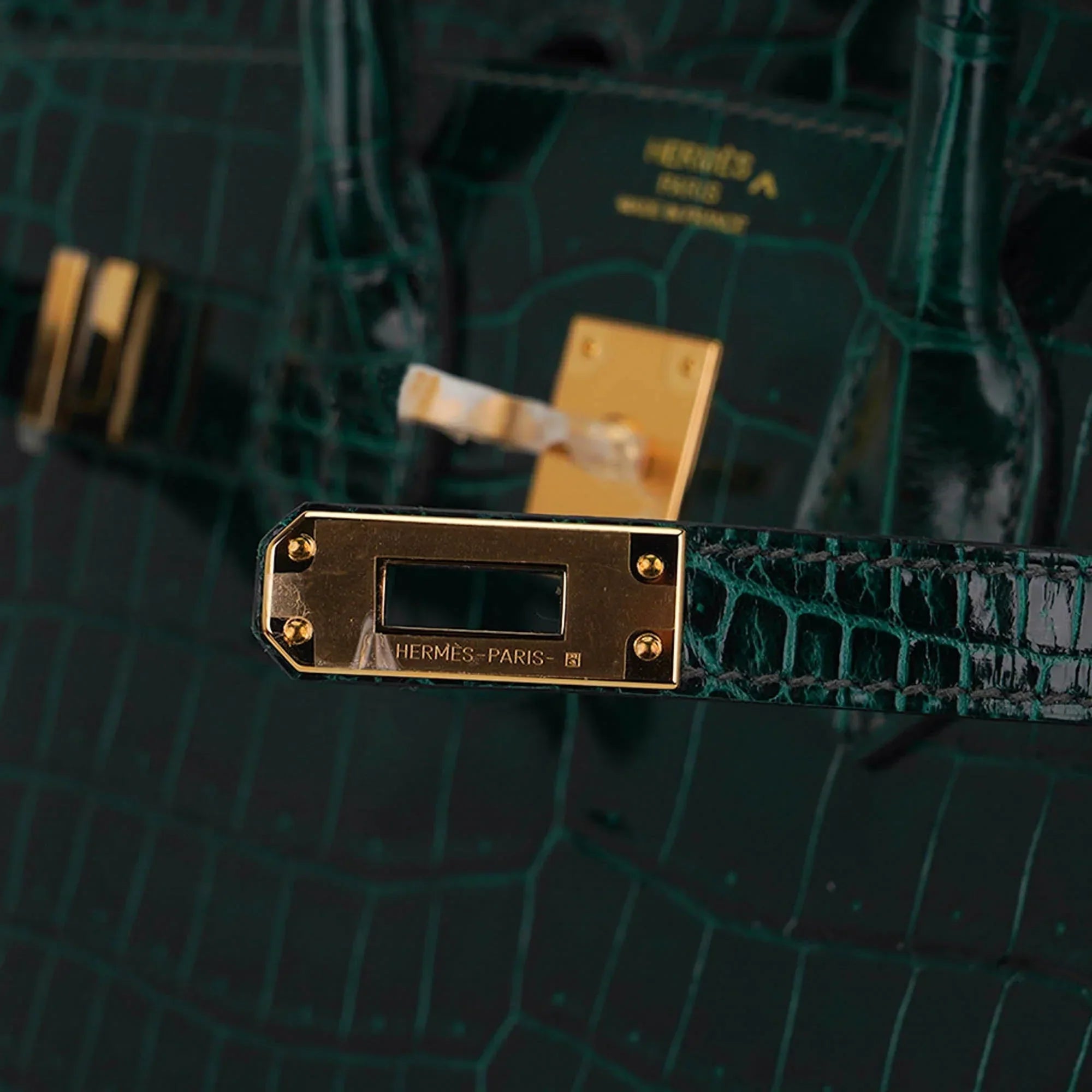 Birkin 25 Sellier Vert Fonce Porosus Crocodile Bag with Gold Hardware
