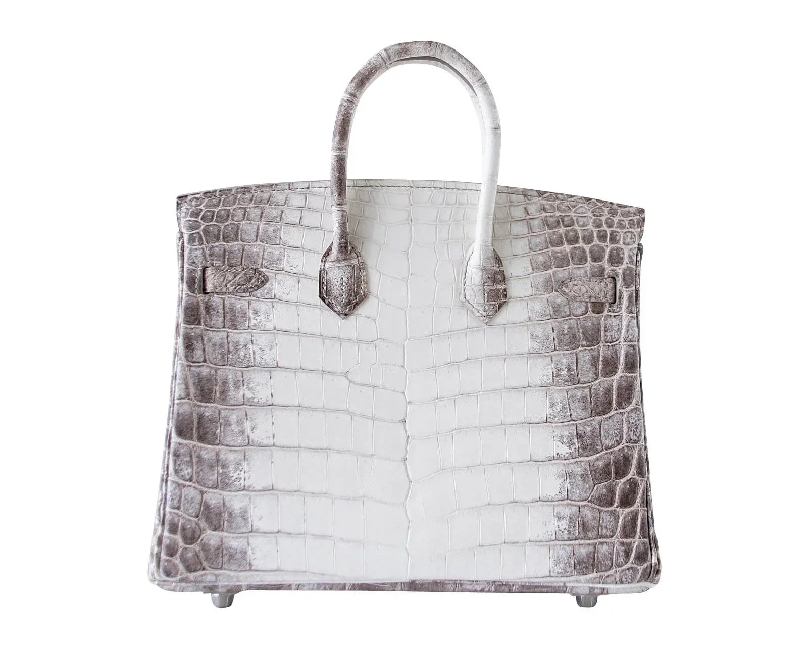 Birkin 25 Bag Blanc Himalaya Exquisite Jewel Palladium Hardware